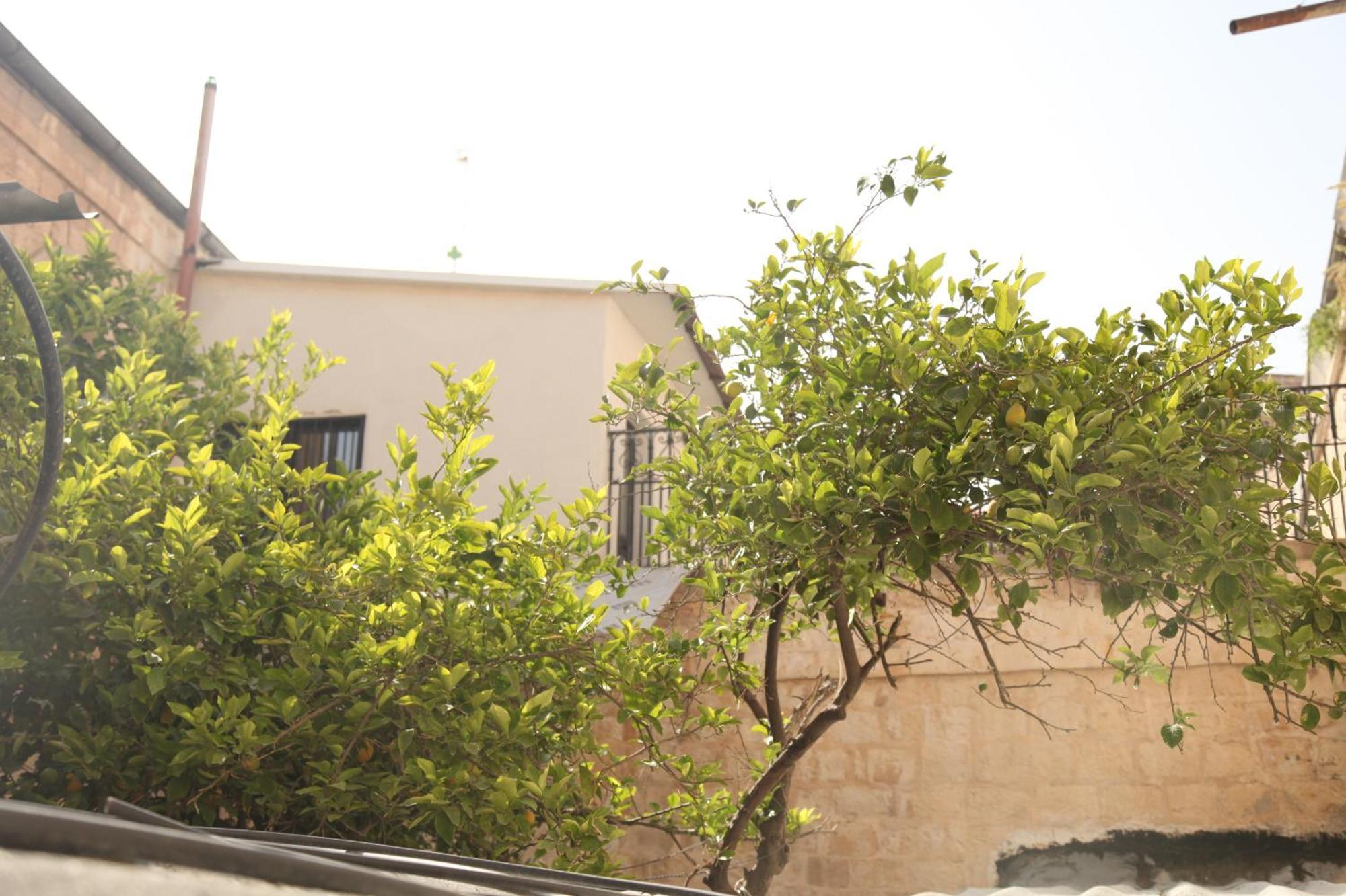 Habira Apartments القدس المظهر الخارجي الصورة