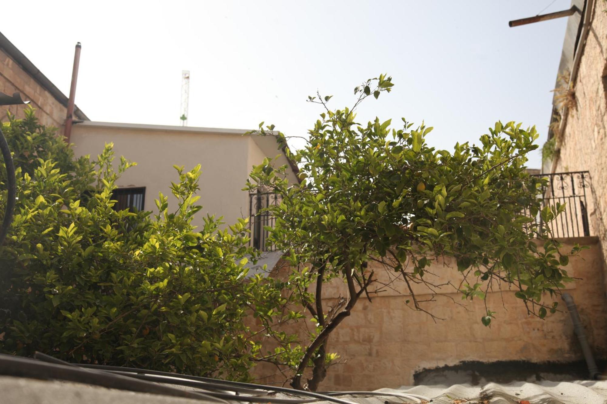 Habira Apartments القدس المظهر الخارجي الصورة